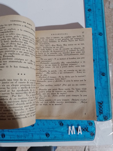 Encadenada Coleccion Pueyo (Usado)