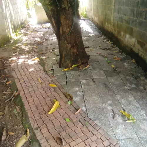 Casa En Venta - Charallave