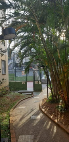 Imagem 21 de 27 de Apartamento Com 02 Dormitórios E 49 M² A Venda Paraisópolis, São Paulo | Sp - Ap26318v