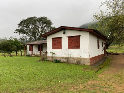 Chácara 19.000 M² - Santa Cruz - Gravataí - Rs - 2447 - 68463646