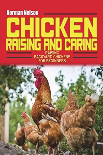 Chicken Raising And Caring Raising Backyard Chickens For Beg