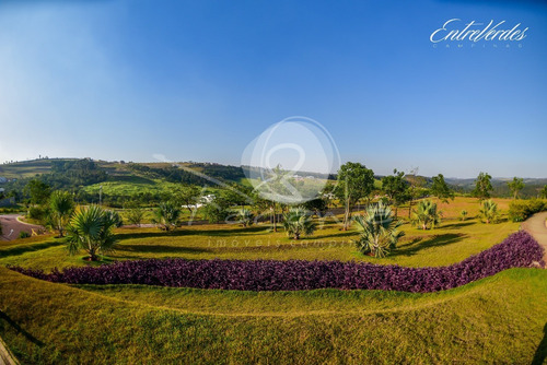 Terreno No Condomínio Entre Verdes Campinas Para Venda Em Sousas - Imobiliária Em Campinas - Te00221 - 69266932