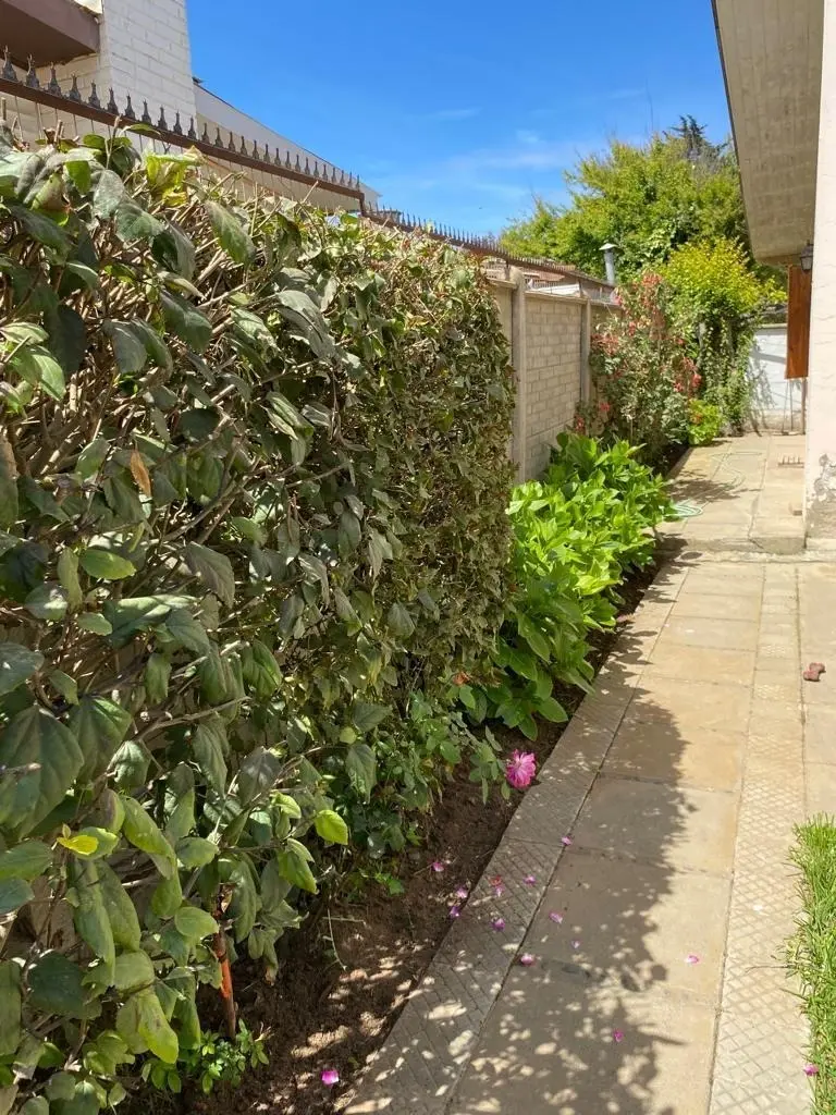 Imagen 2 de 19 de Casa En Venta En El Tabo