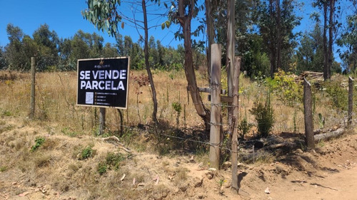 Venta Parcelas En Copiulemu Camino A Hualqui