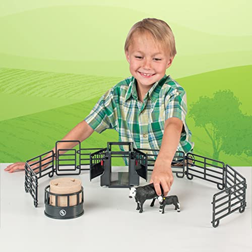Big Country Toys 12-piece Ranch Set - Farm Animal Wytxr