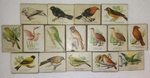Eb+ Colección De 16 Cajas De Fósforos: Aves Uruguayas