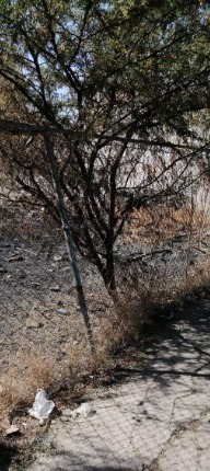 Imagen 7 de 9 de Querétaro, El Pueblito, Terreno En Venta! Fa