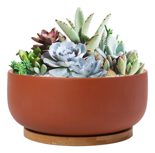 Maceta Terracota 20 Cm Con Orificio Drenaje Y Platillo Bambo