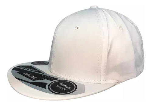 Gorra Plana Poliéster Cerrada 20 Piezas