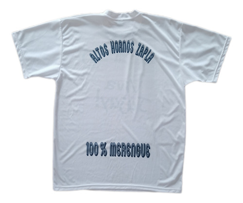 Camiseta Altos Hornos Zapla Jujuy Eneve (Usado)