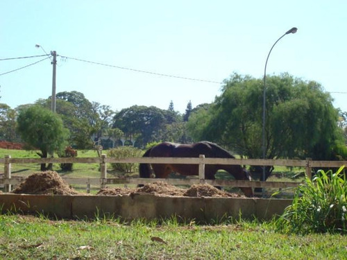 Imagem 9 de 26 de Terreno À Venda, 1000 M² Por R$ 350.000 - Condomínio Palmeiras Imperiais - Salto/sp - Te0795