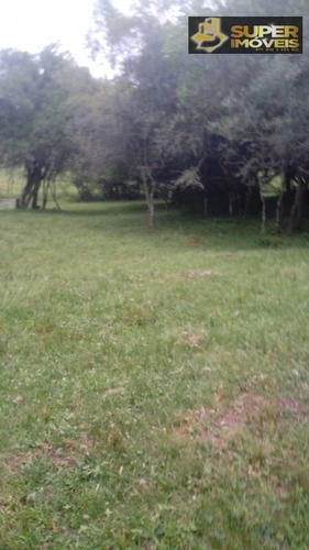 Imagem 9 de 21 de Chácara A Venda No Bairro Centro Em Piratini - Rs. - 2308-1