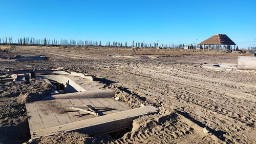 Imagen 5 de 13 de Terreno En Venta San Rafael Mendoza