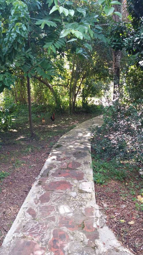 Imagem 4 de 14 de Chácara À Venda Com 7000 M² De Terreno Em Cajati. 1194 M H