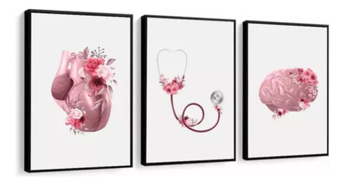 Kit 3 Quadros Decorativos Consultório Medicina Rosa Moldura