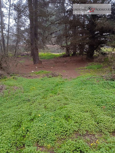 Parcela En Venta En Los Pinos, Reñaca