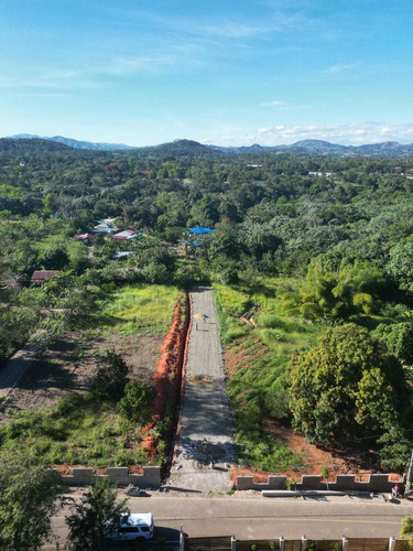 Imagen 3 de 8 de Terrenos En Venta Jarabacoa