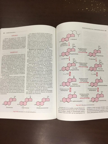 Imagen 7 de 9 de Quimica Biologica 10° Edicion - Blanco