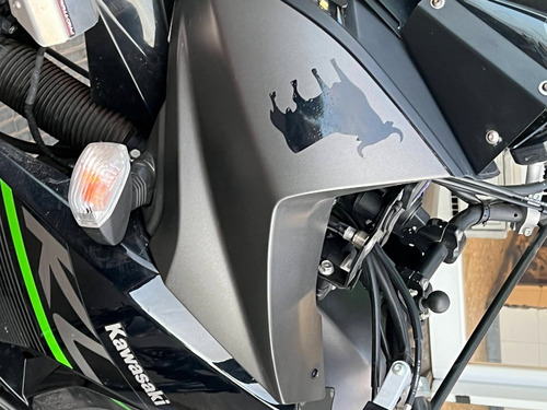 Imagen 4 de 10 de Kawasaki Klr 650 2018