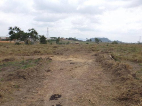 Imagem 3 de 3 de Terreno À Venda, Carajás, Parauapebas, Pa - Loteamento Pará - Pa - Te0007_yamamo