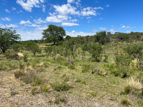 Venta Campo Villa Quillinzo (40 Hectareas) Ideal Para Loteo