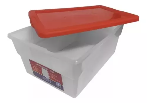Caja de ordenación de plástico, 8 litros, Nº26, 15,5 x 34 x 22,5 cm, baúl  con tapa para organización del hogar, alma