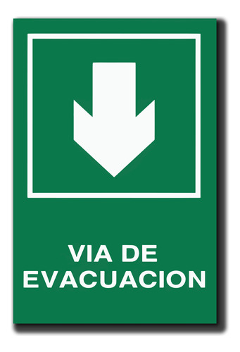 Señaletica Via Evacuacion Abajo 30x20cm Trovicel