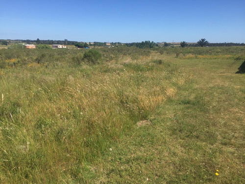 Vende Chacra En Excelente Punto Sobre Camino A 1 Km De Ruta