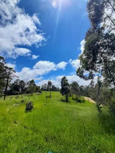 Imagem 7 de 14 de Os Melhores Terrenos No Interior De São Roque