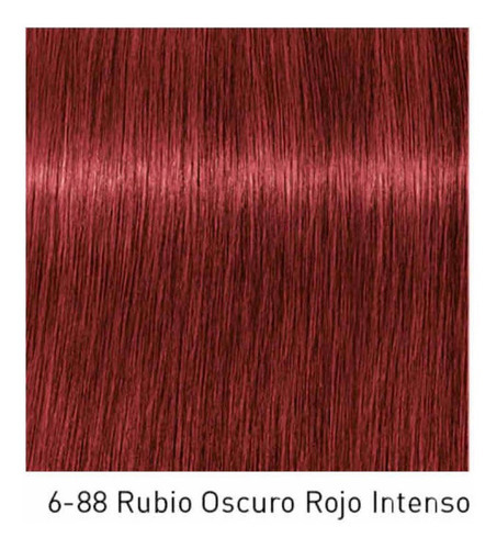  Igora Royal Coloración Profesional Tono 6-88 Rubio Oscuro Rojo Intenso