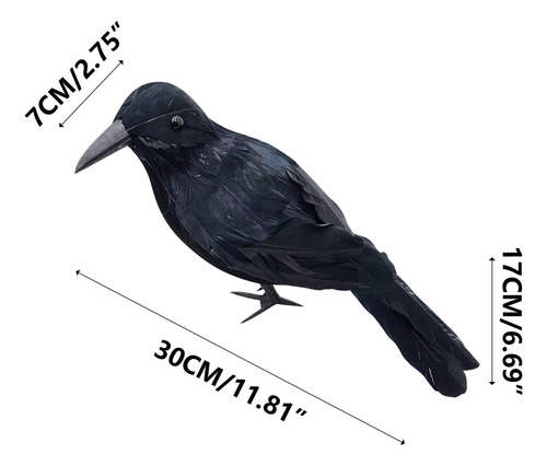 Es Un Cuervo Realista Con Plumas Negras Para Decoración De H