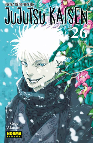 Jujutsu Kaisen 26