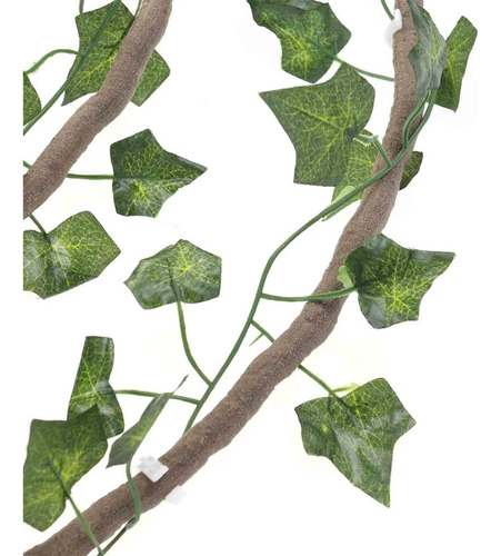 Terrario Para Reptiles, Enredaderas Trepadoras De Estilo B