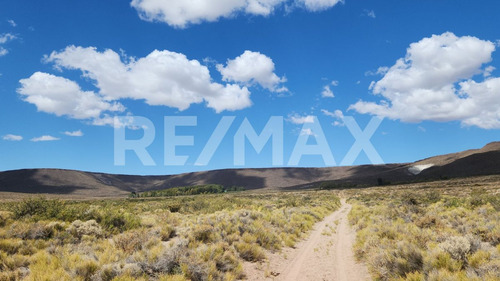 Venta Estancia Campo Barda Negra Neuquen 7.392 Ha