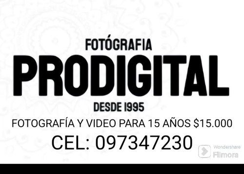 Servicio Profesional De Fiestas Y Eventos. 