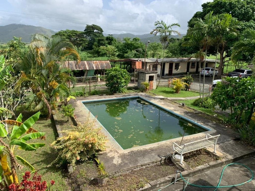 Imagen 7 de 8 de Venta De Finca En Yaracuy Con Amplio Terreno Fot - 197