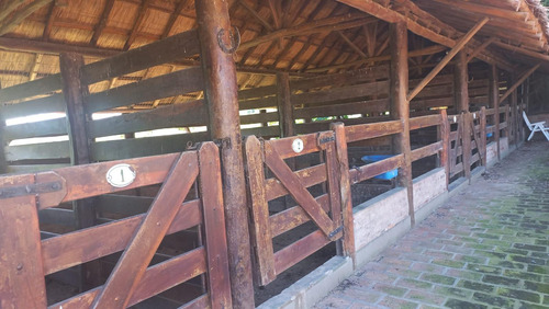 Campo En Fatima