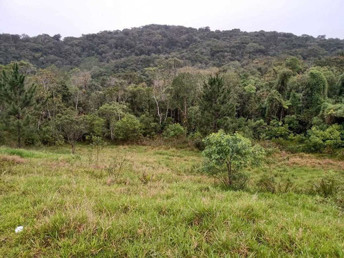 Imagem 2 de 30 de Chácara À Venda, São Paulo, Miracatu, Sp - Sp - Ch0011_yamamo