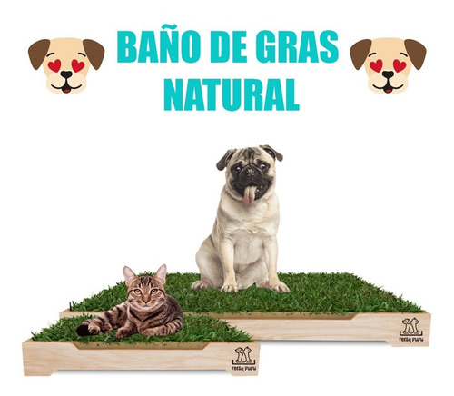 Baño De Gras Natural Para Perros Grande + Base Madera 
