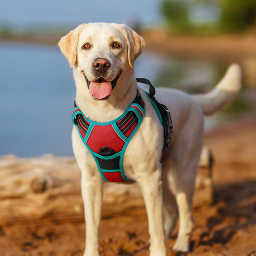 Arnés Para Perros Rabbitgoo, Sin Tirones, Ajustable, Grande