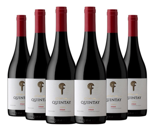 6 Vinos Quintay Clava Syrah