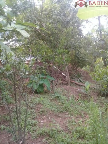 Imagem 12 de 12 de Chacara - Ch00102