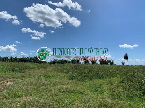 Imagem 10 de 11 de Fazenda Em Santana Do Araguaia - Pa (cód. 214) No Pará A Venda
