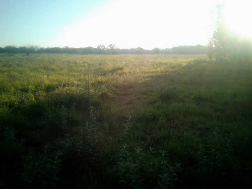 Imagen 22 de 26 de Finca En Venta ,calabozo Guarda Tinajas