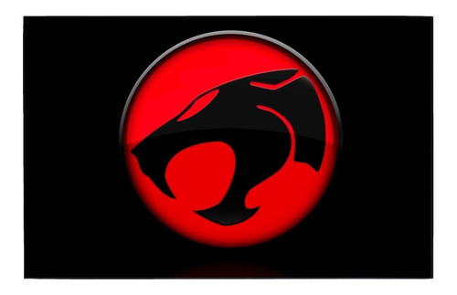 Cuadro De Thundercats Logo Ch