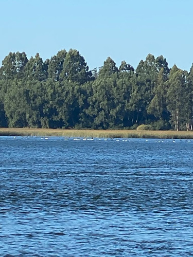 Departamento En Arriendo De 2 Dorm. En Valdivia