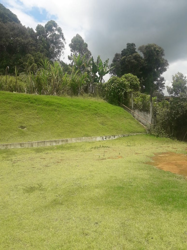Imagem 22 de 30 de Chácara 22.400m2, Rica Em Água Com Riacho, 3 Casas Sendo 1 Sede E 2 Casas De Caseiro, Pomar, Topografia Plana, Ótima Localização - Ch00218 - 70678592