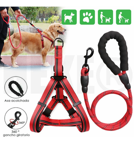 Pechera Arnes Ajustables Para Gato Y Perro Con 2 En 1 Correa