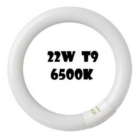 Tubo Fluorescente Circular 22w T9 6400k X 3und