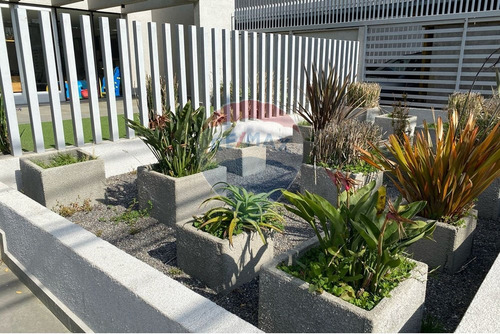 Arriendo, Depto. En Concepción Ideal, Invertir
